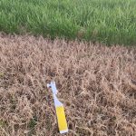 WhatsApp-Image-2025-08-15-at-19.41.35