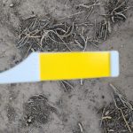 WhatsApp-Image-2025-08-15-at-19.41.36-1