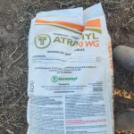 WhatsApp-Image-2025-08-15-at-19.41.36