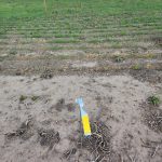 WhatsApp-Image-2025-08-15-at-19.41.36-2