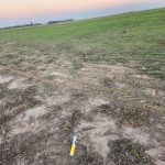 WhatsApp-Image-2025-08-15-at-19.41.36-3